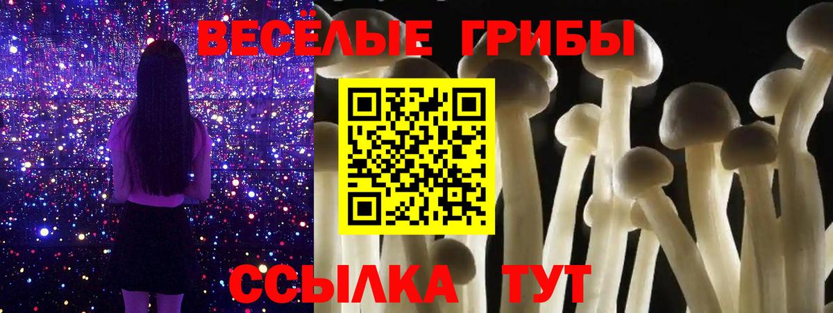 Знаменск  Псилоцибиновые грибы Cubensis  Вход с VPN 